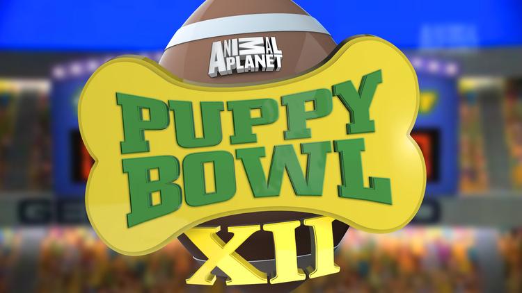  The Puppy Bowl aired its twelfth annual game earlier this month