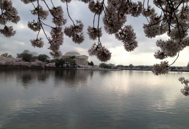 With spring right around the corner, citizens of the D.C. metropolitan area will soon be able to see the cherry blossoms again