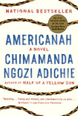 Americanah follows the journey of an African immigrant to America