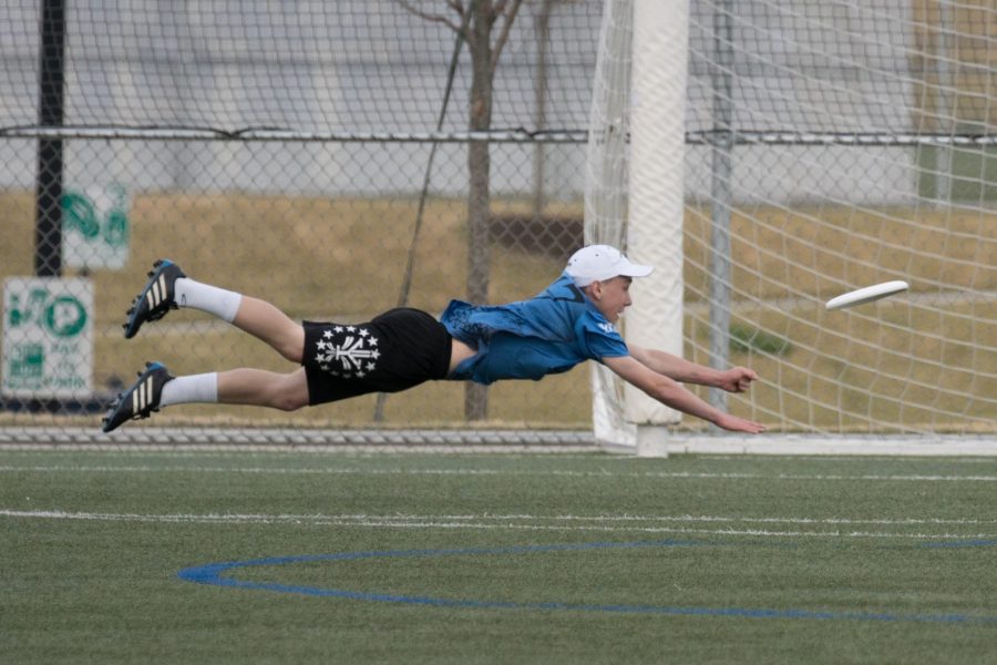 An ultimate frisbee player lays out to make a play