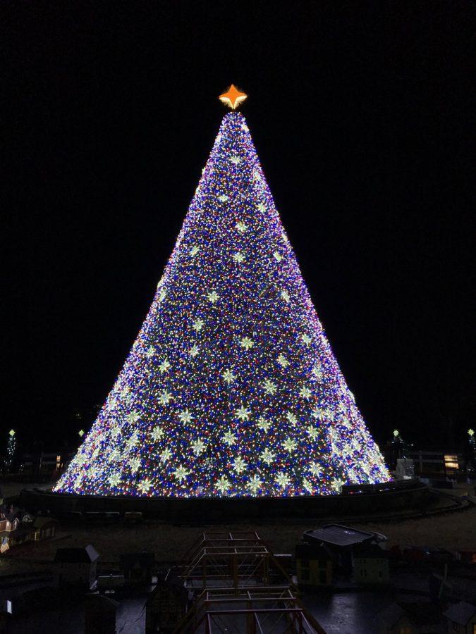 The+Christmas+tree+in+D.C.+is+visited+by+lots+of+people+during+the+winter