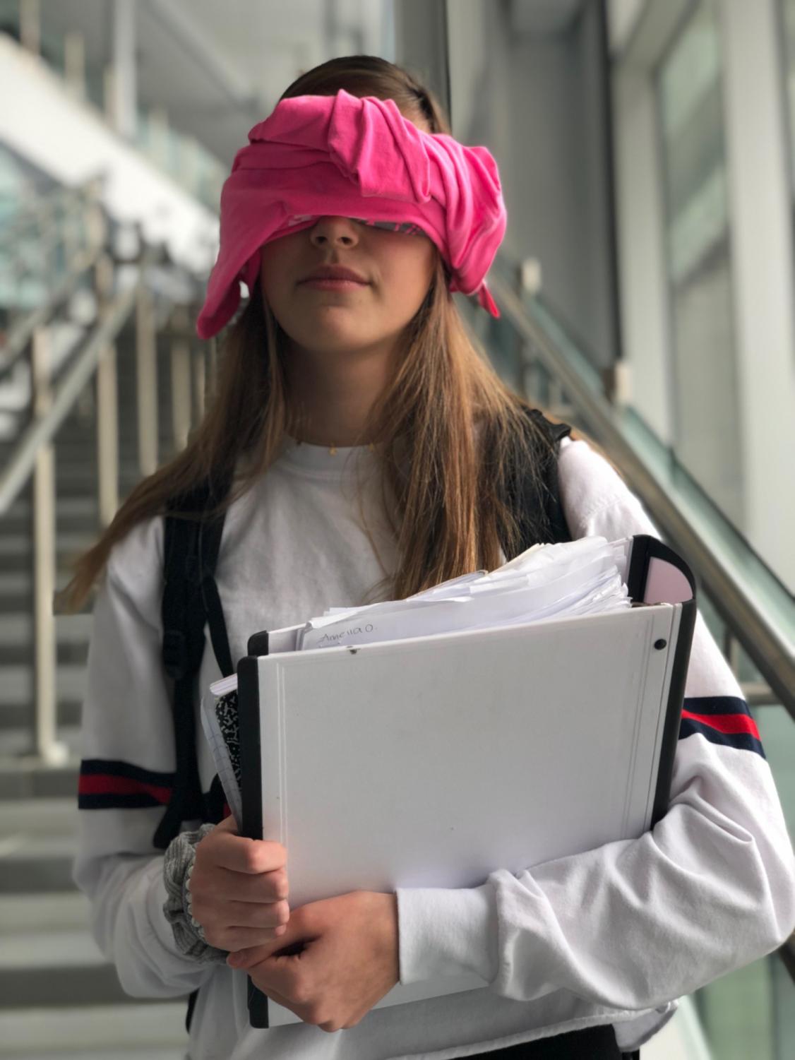 Many people have participated in the Bird Box Challenge.