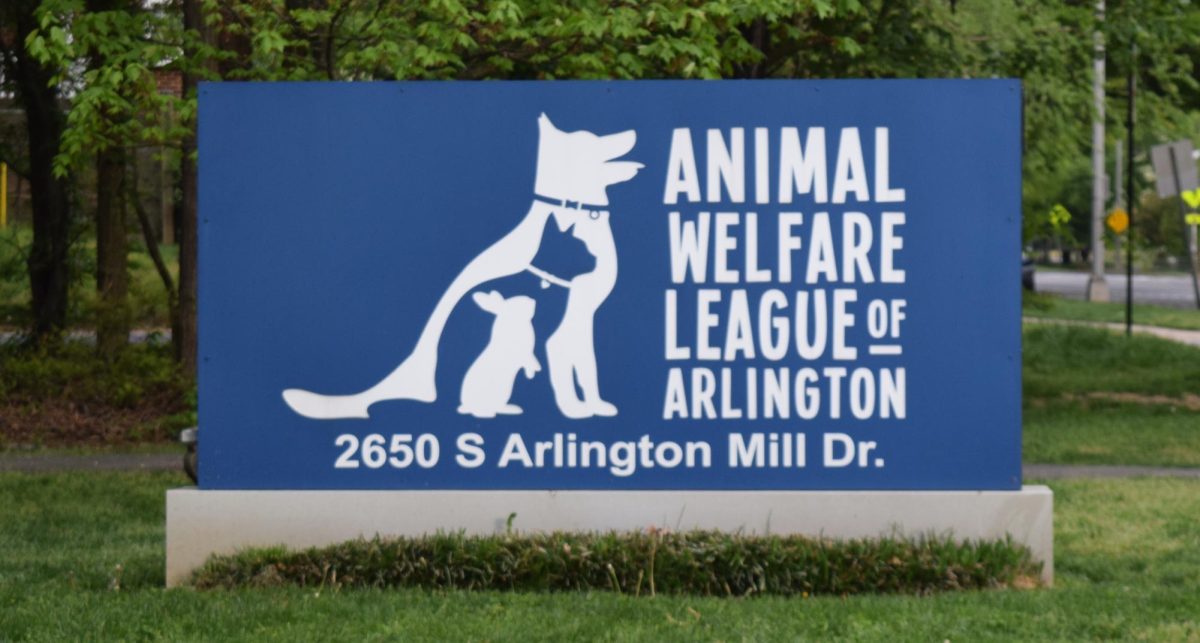 Animal Shelters in Arlington